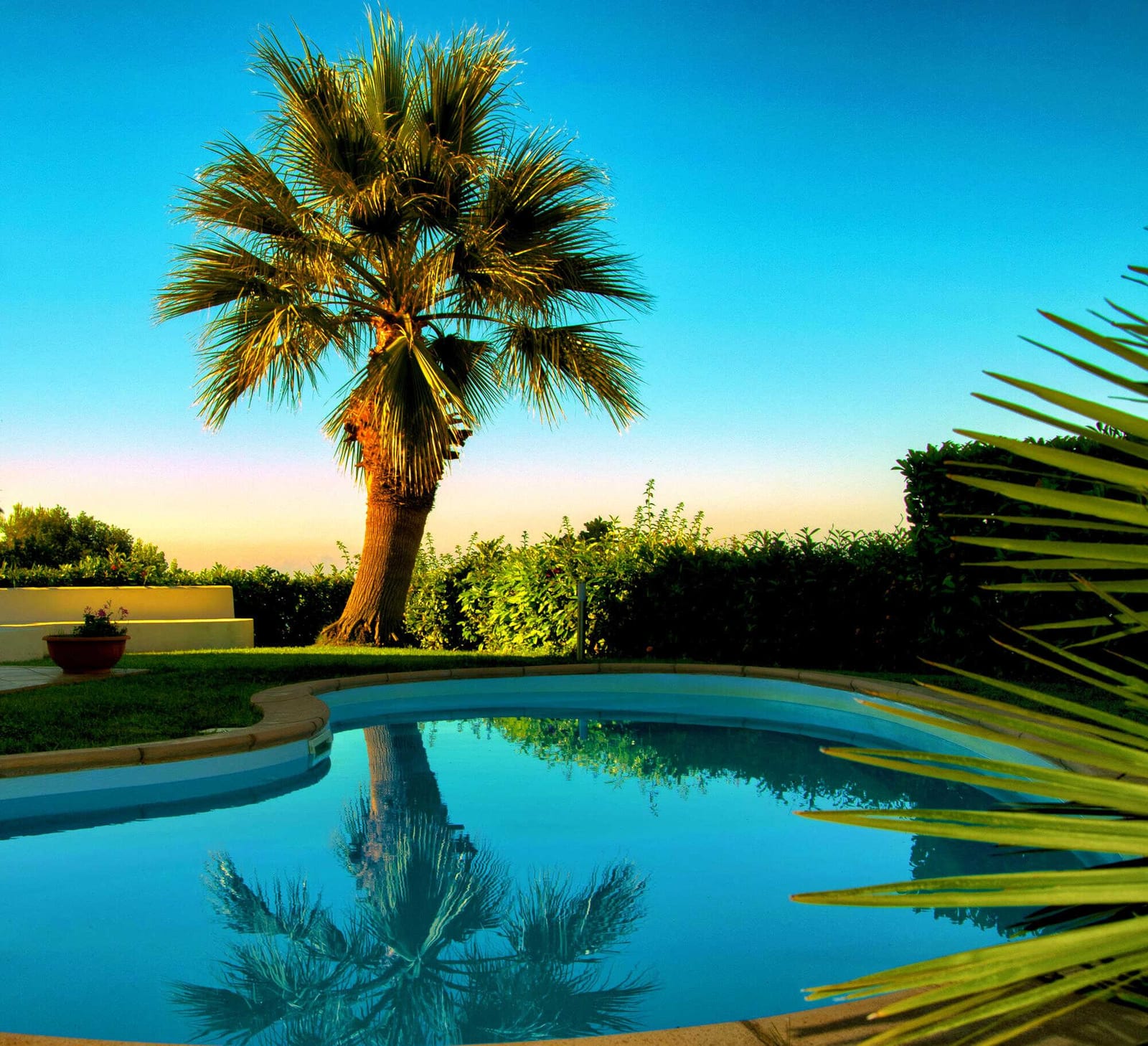 How to Choose the Right Pool Pump for Long-Term Efficiency — pool service business insights