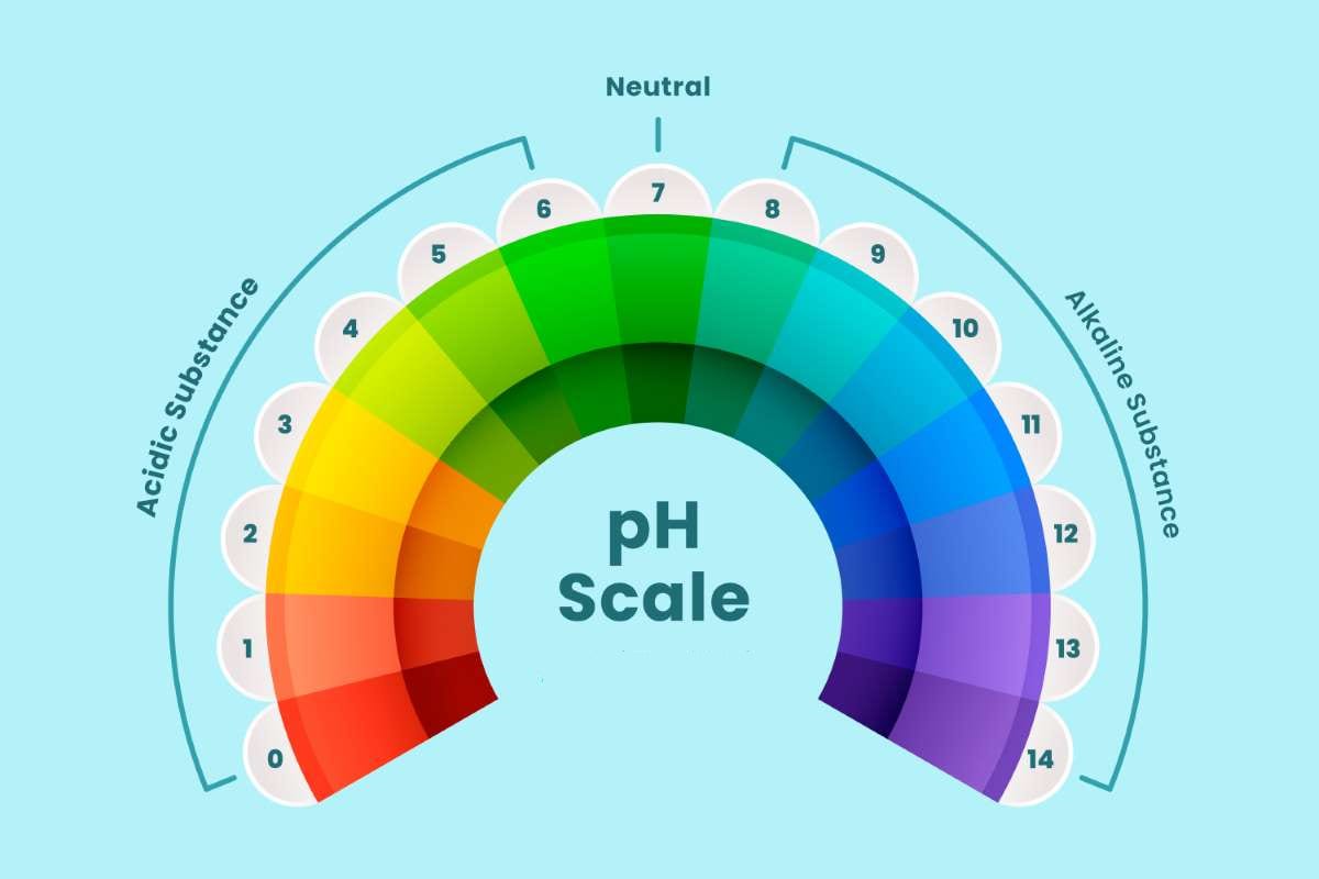 How to Prepare Pools for Monsoon Season in the Southwest — pool service business insights