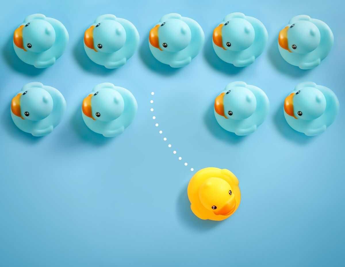 Pool Service Expansion Opportunities in Pembroke Pines — pool service business insights