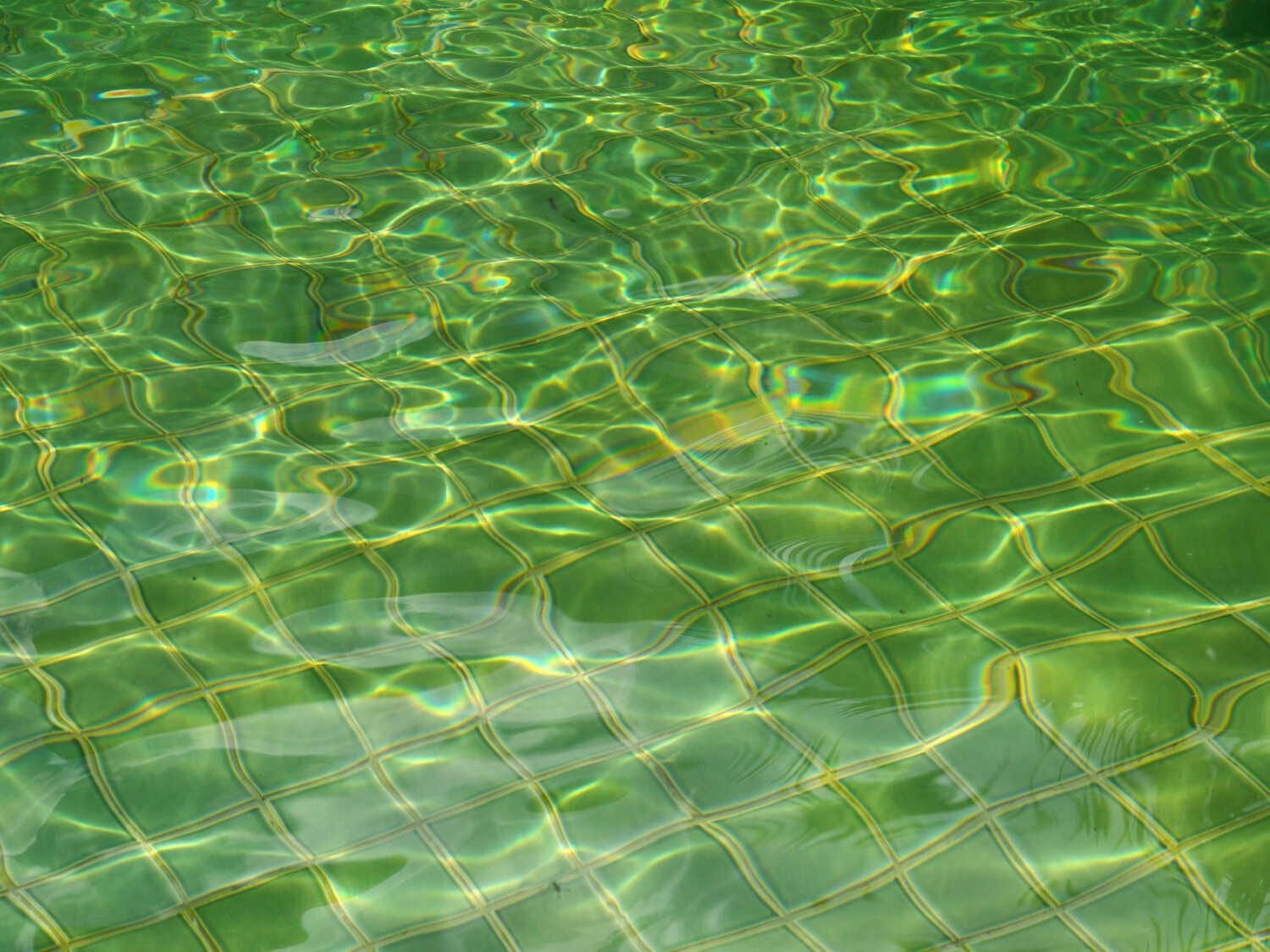 Preparing for a Franchise Model: Financial Considerations — pool service business insights