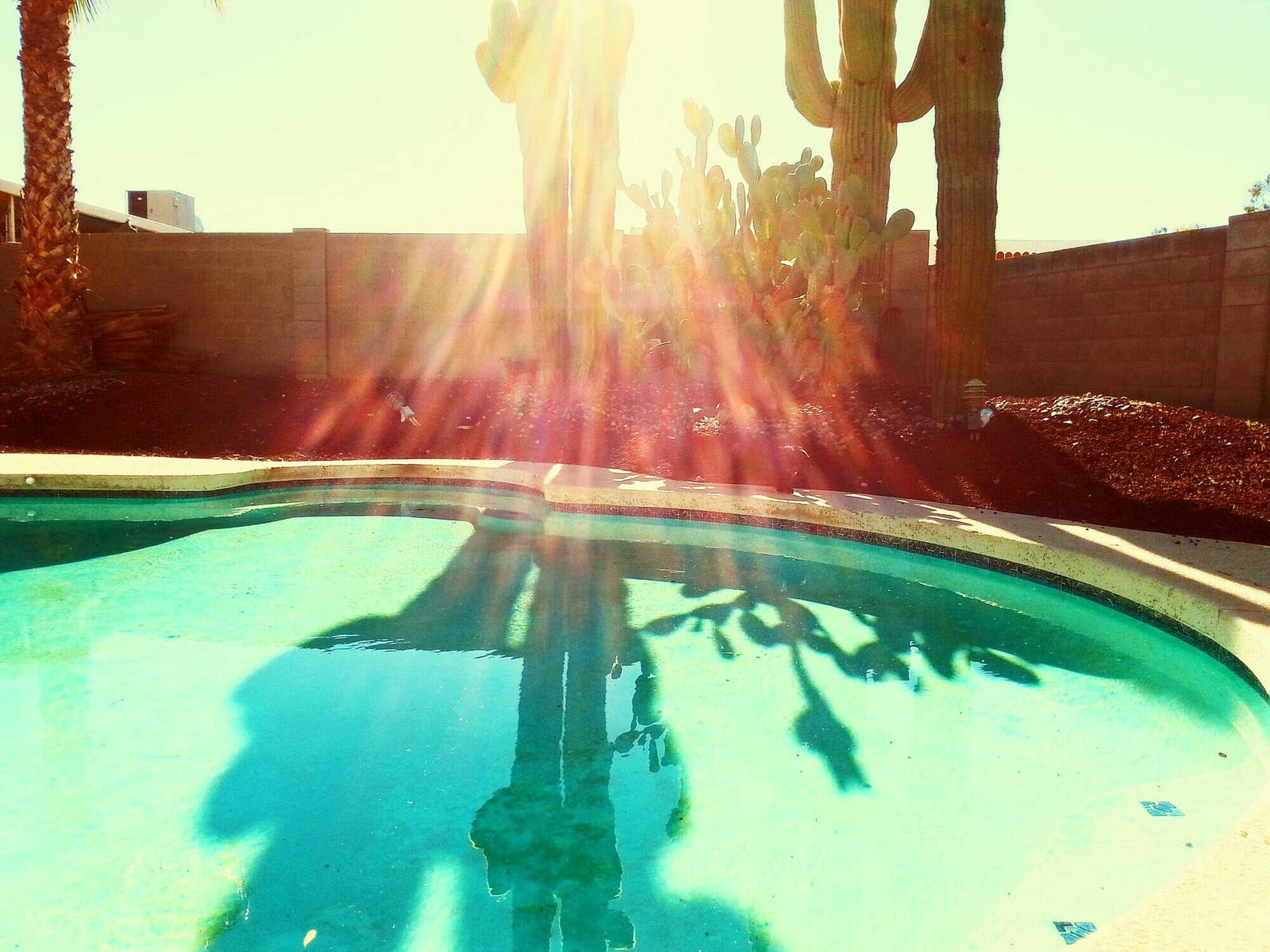 What Every Pool Business Should Automate — pool service business insights