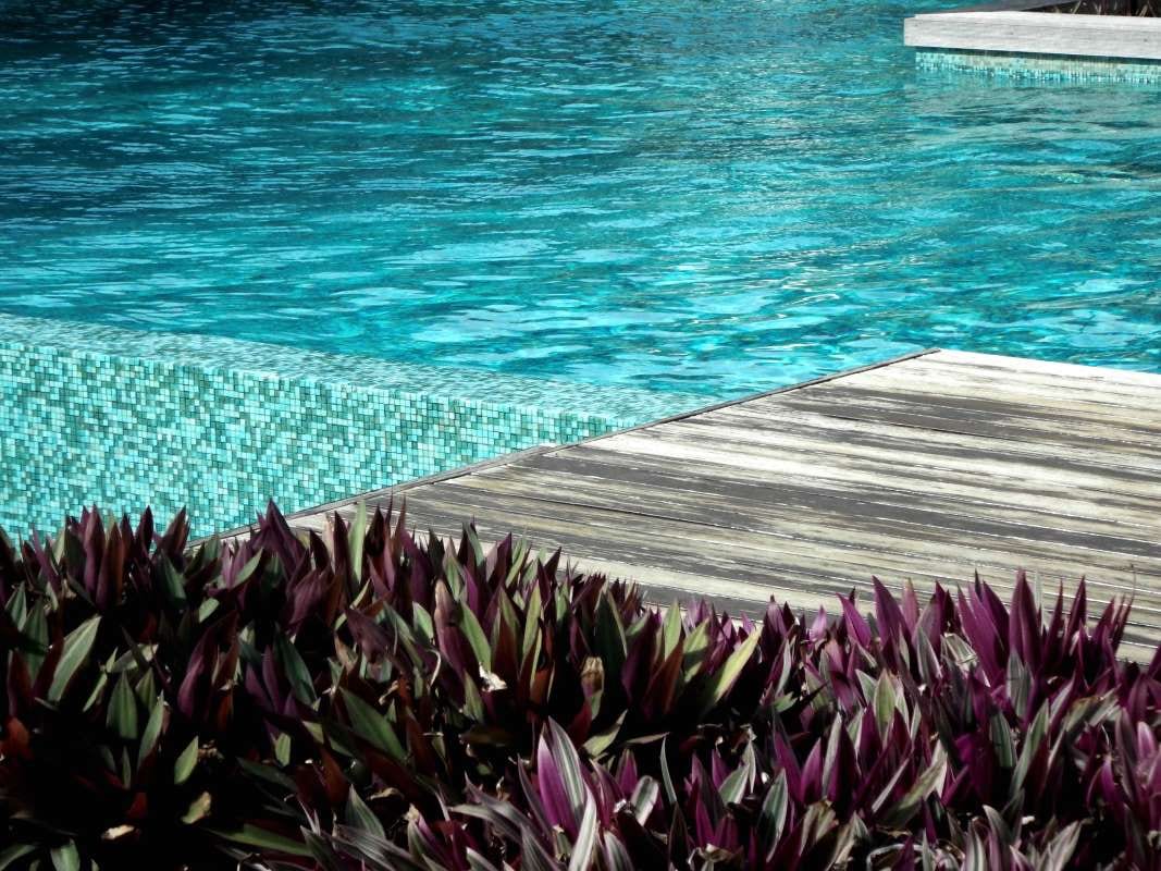 What Not to Include in Client Contracts in Santa Rosa, California — pool service business insights