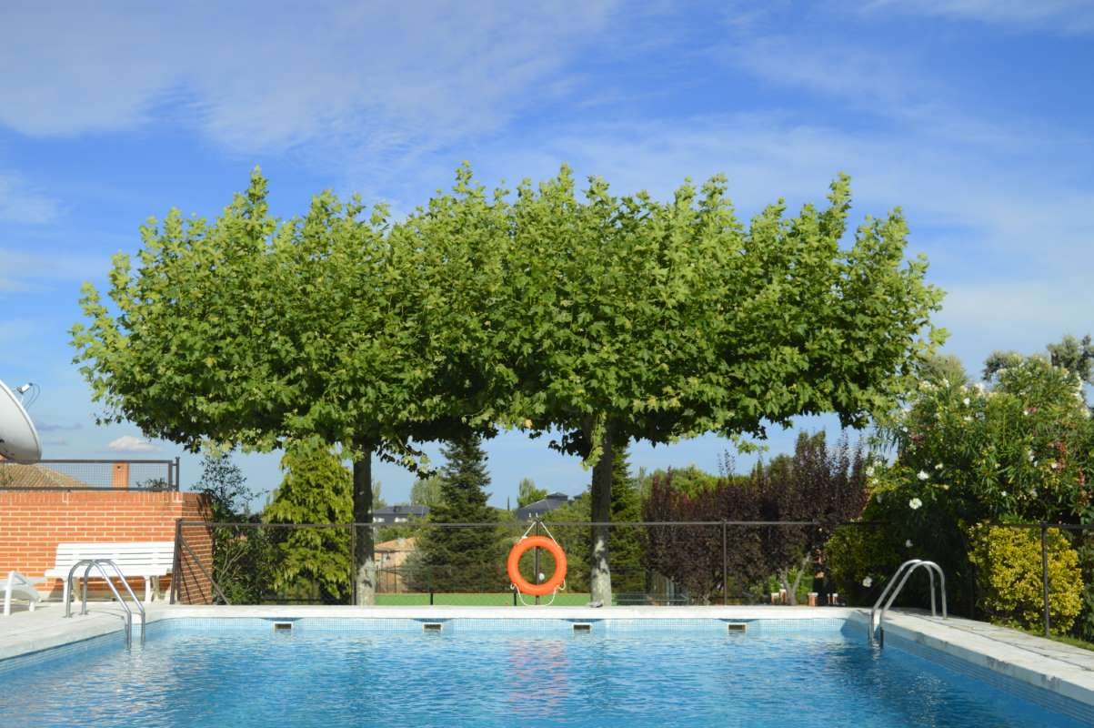 When and How to Raise Prices Without Losing Clients — pool service business insights
