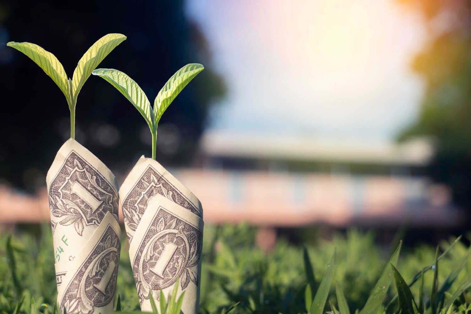 When to Hire Admin Help in Davie, Florida — pool service business insights
